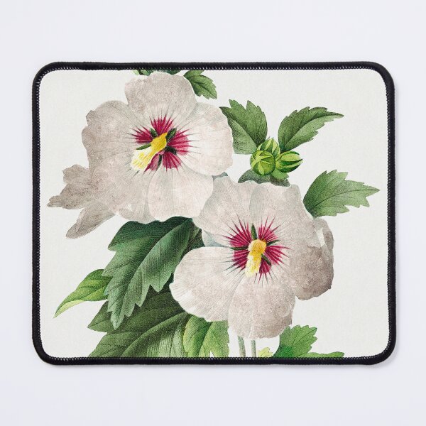 Item preview, Hibiscus from Choix des plus belles fleurs by Pierre-Joseph Redoute designed and sold by InHerits.