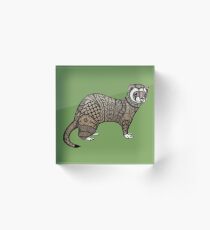 Ferret Acrylic Block