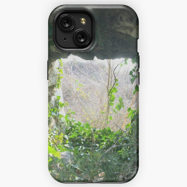 Ivy Park iPhone Cases for Sale Redbubble