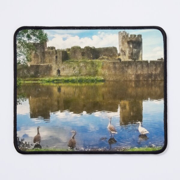 Item preview, The Castle Geese designed and sold by IanWL.