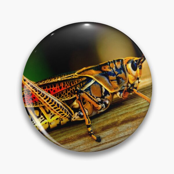 Item preview, Foto de mosquito con calidad de alta resolución. designed and sold by Allyouneed-2.