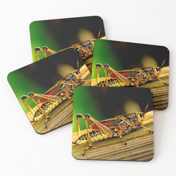Item preview, Mosquito photo with high resolution quality designed and sold by Allyouneed-2.