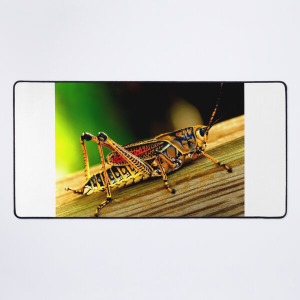 Item preview, Mosquito photo with high resolution quality designed and sold by Allyouneed-2.