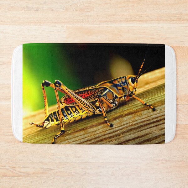 Item preview, Mosquito photo with high resolution quality designed and sold by Allyouneed-2.