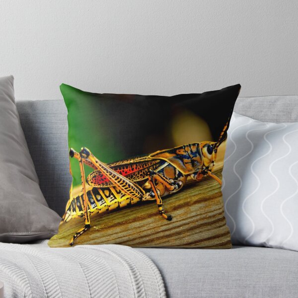 Item preview, Mosquito photo with high resolution quality designed and sold by Allyouneed-2.