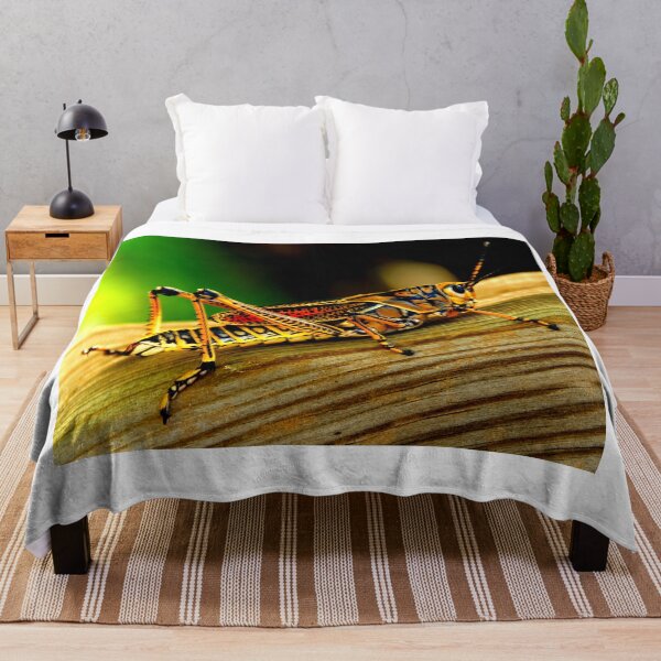 Item preview, Mosquito photo with high resolution quality designed and sold by Allyouneed-2.