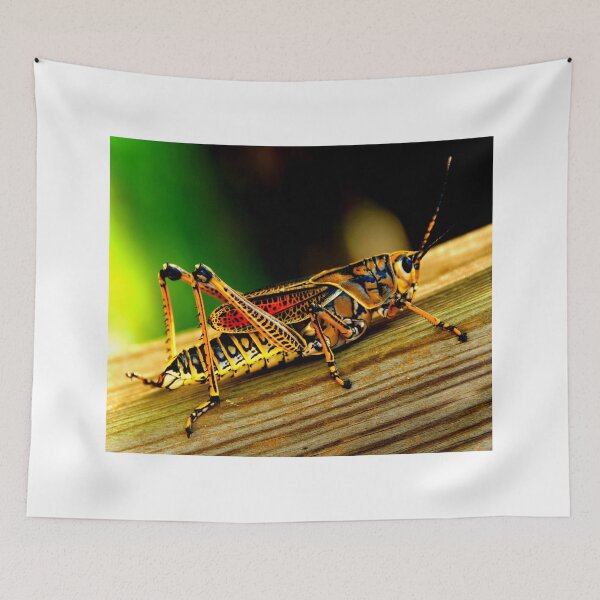 Item preview, Mosquito photo with high resolution quality designed and sold by Allyouneed-2.