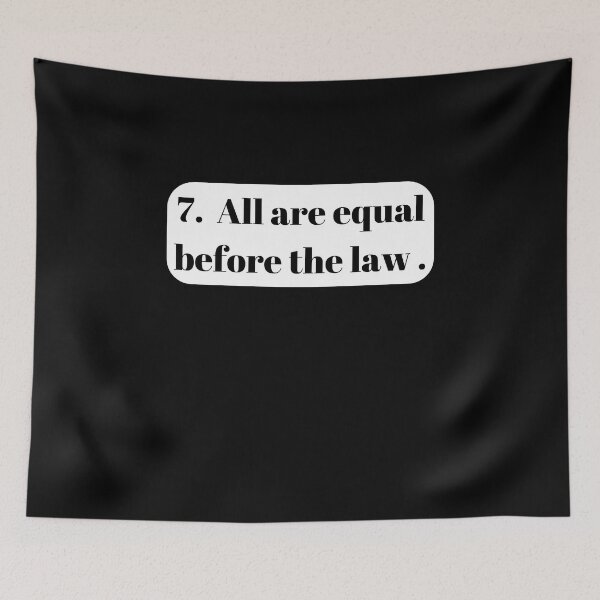 Item preview, Universal Declaration of Human Rights Article 7 designed and sold by Freihalt.