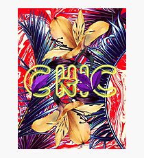CHIC Photographic Print