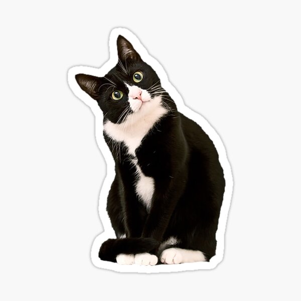 Tuxedo Cat Sticker