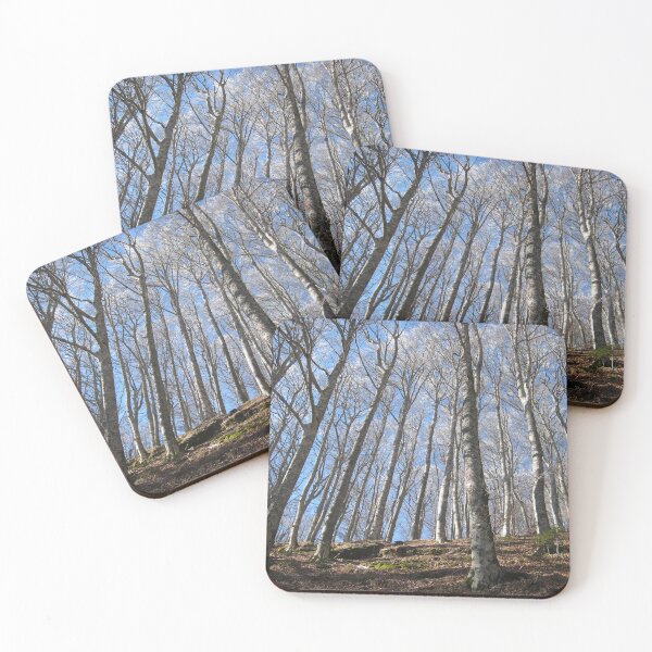 Item preview, La Verna Forest designed and sold by vonJohnstonArt.
