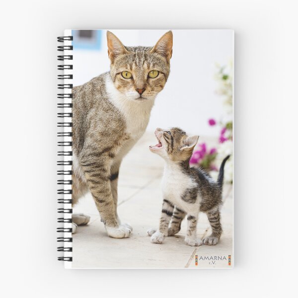 Item preview, Amarna Cats Amarna e.V. designed and sold by Amarna e.V..
