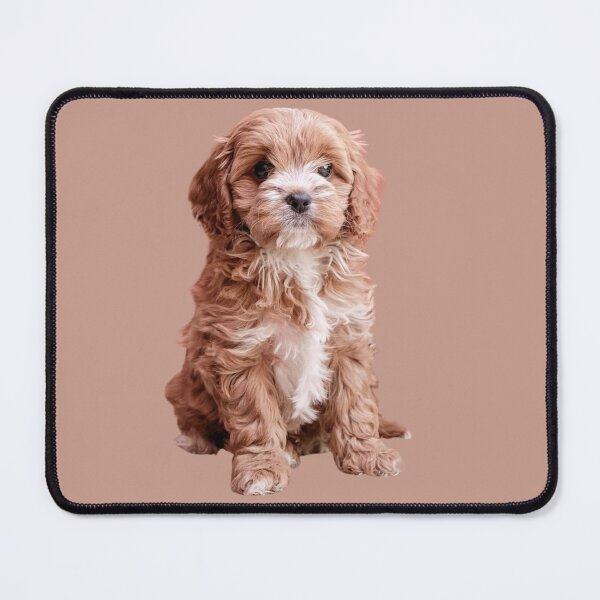 Item preview, Cavapoo designed and sold by thecavapootales.