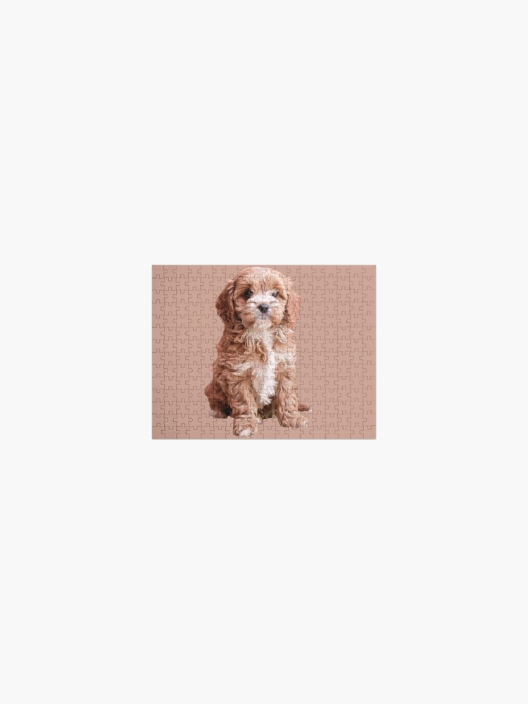 Cavapoo Dog - Jigsaw Puzzle