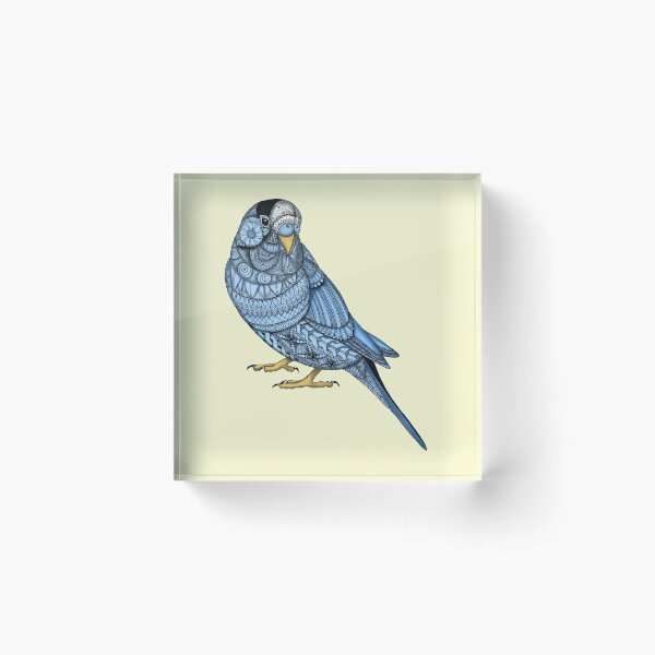 Parakeet - Blue Acrylic Block