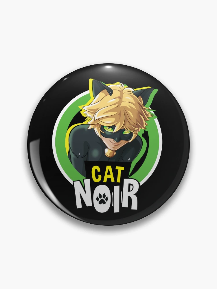 Pin en Cat Noir e Ladybug