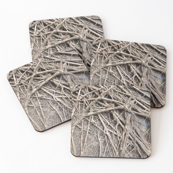 Item preview, root wall in hong kong designed and sold by piakestore.