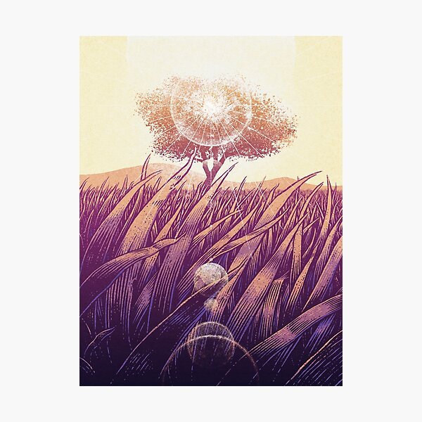 Shine Photographic Print