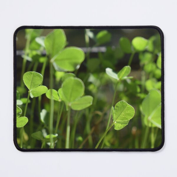 Item preview, Fresh green clovers in the summer designed and sold by mariya-ivanova.