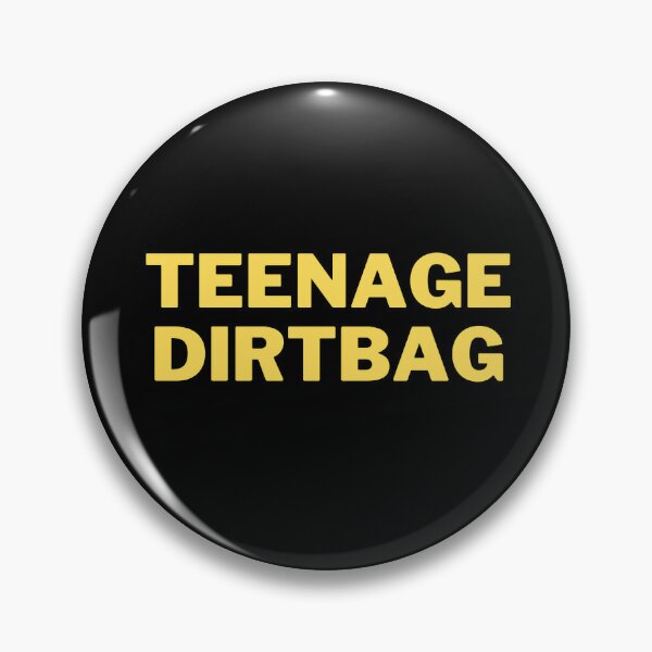 Pin on ☆♰ dirtbag teens 🎧