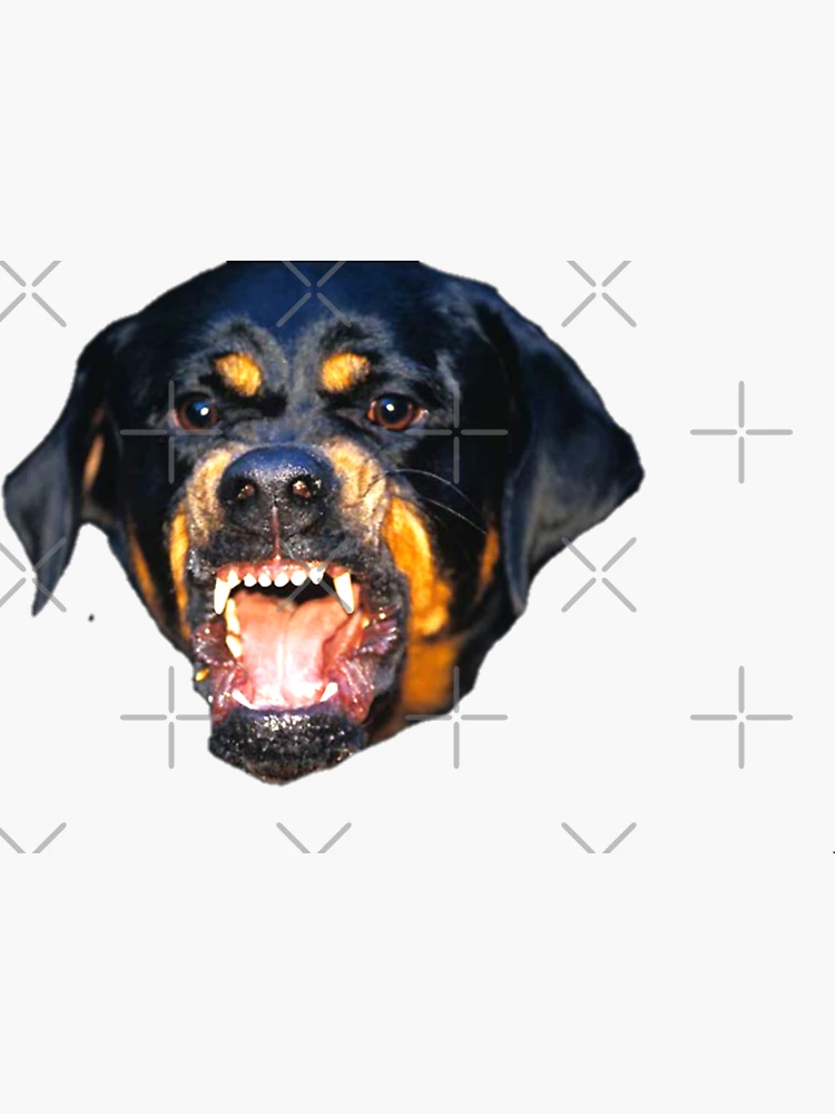 Divertente Rottweiler Decalcomania Adesiva Impermeabile In Vinile