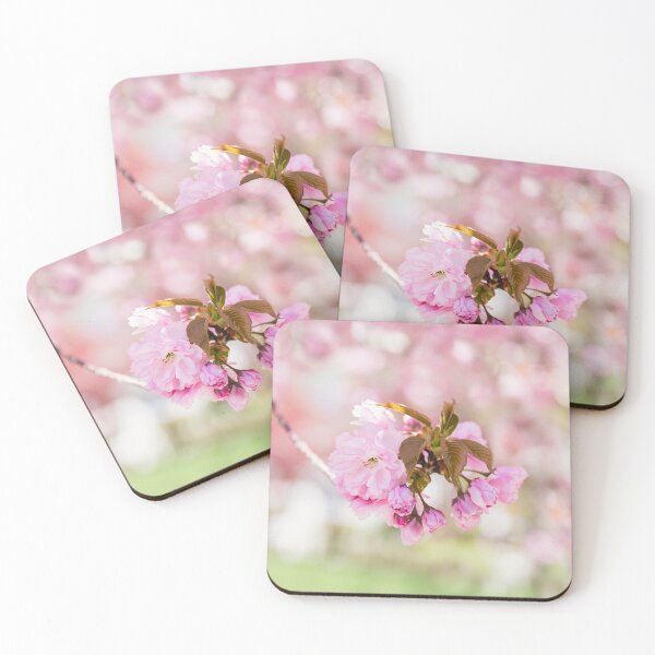 Item preview, Cherry Blossom Branch and Bokeh | Sakura Blossoms Closeup designed and sold by NLP-Archives.