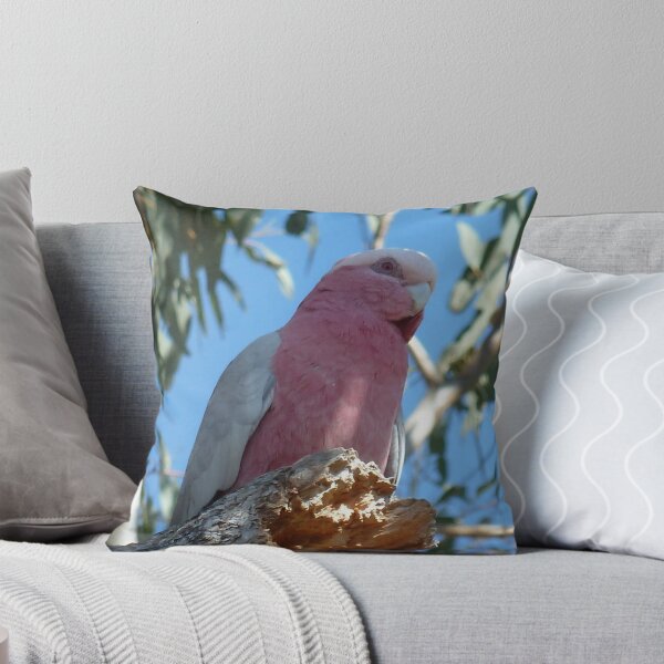 Item preview, Gunnedah Galah designed and sold by DashTravels.
