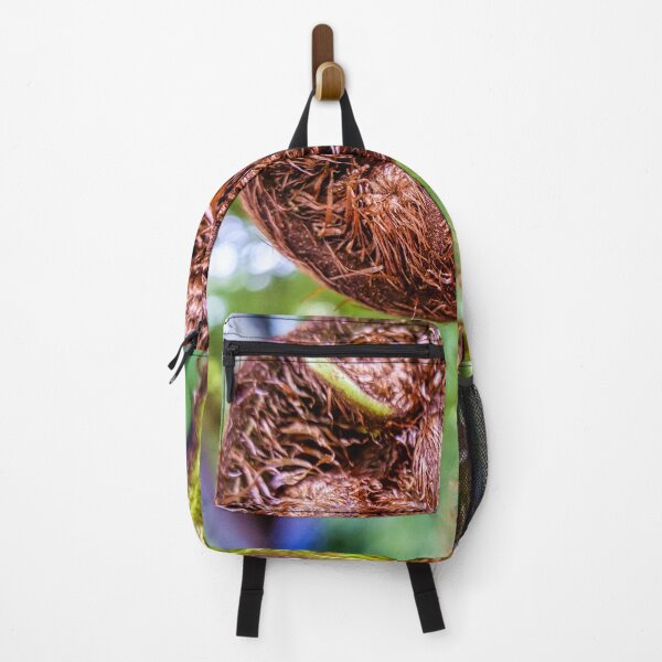Item preview, Unfurling Fern Frond designed and sold by Stuart Chard Photography.