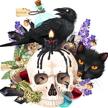 Artwork thumbnail, PWF: Raven Skull Cat by Mandy M. Roth