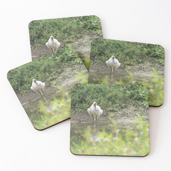 Item preview, Royal Spoonbill  designed and sold by irened71.