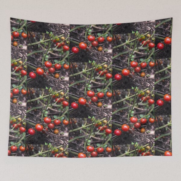 Item preview, cherry tomato 3. designed and sold by Nino rocha fotografia.