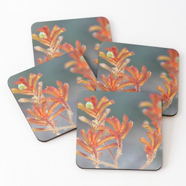 Item preview, Kangaroo Paw designed and sold by irened71.