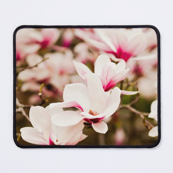 Item preview, Moody Magnolias | Pink Magnolia Blossoms designed and sold by NLP-Archives.
