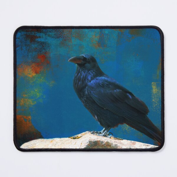 Item preview, Dramatic Crow on Stone Surreal Gothic Black Bird Home Decor Matted Picture A097 designed and sold by byNicol.