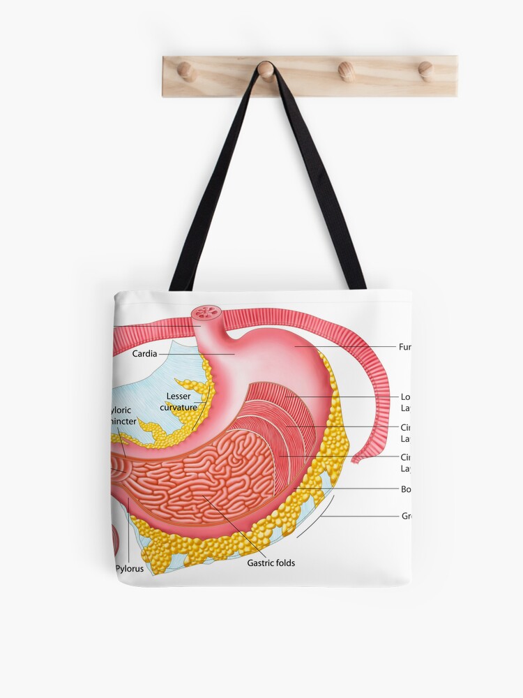 Gastric Tote Bag 