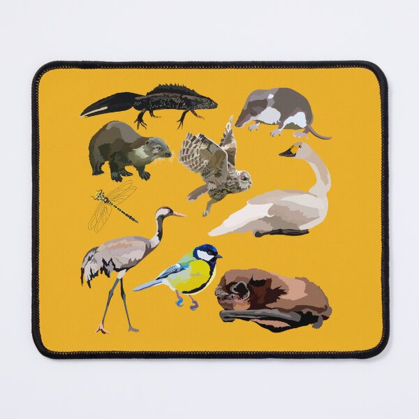 Item preview, B is for British Wildlife , British Wildlife Illustration – Native Animals of the UK Artwork designed and sold by PrettylittlepastelUk.