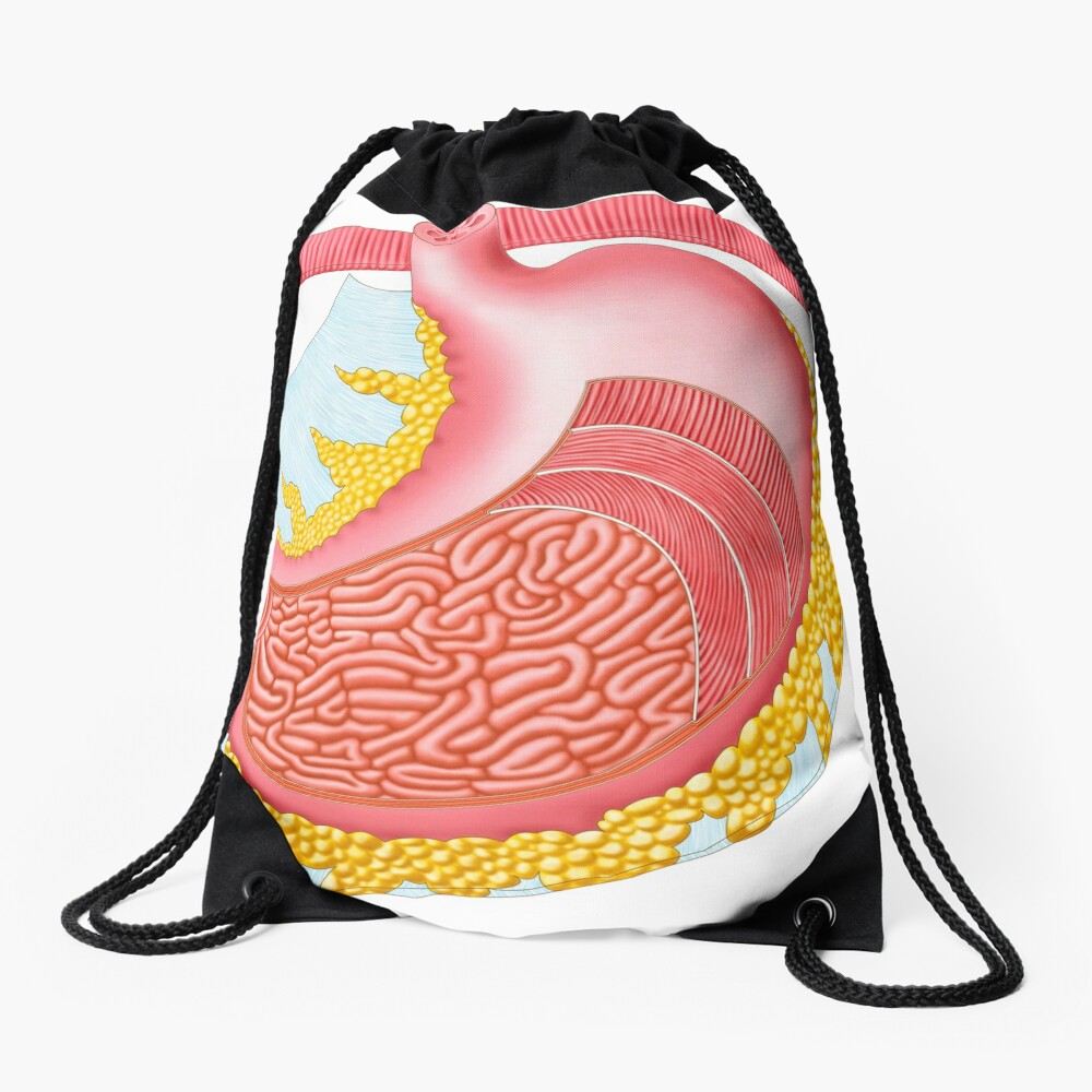 anatomy-of-the-human-stomach-drawstring-bag-for-sale-by