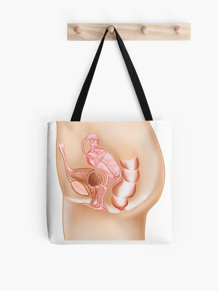 Female Reproductive Diagram - The Vagina - Vintage Anatomy 2 Tote Bag