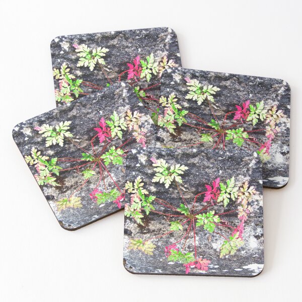 Item preview, leaves growing on a stone wall designed and sold by Shulie1.