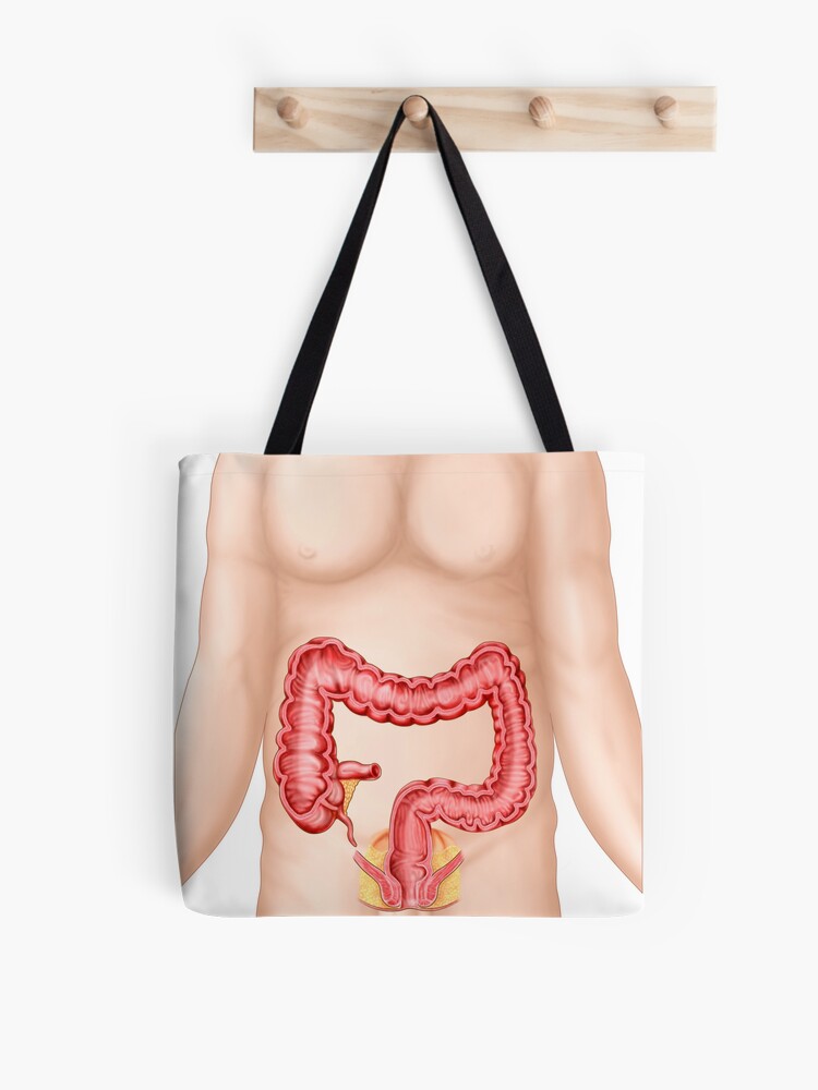 Intestinal Cleansing Irrigation Bag 3D Model $24 - .3ds .blend .c4d .fbx  .max .ma .lxo .obj - Free3D