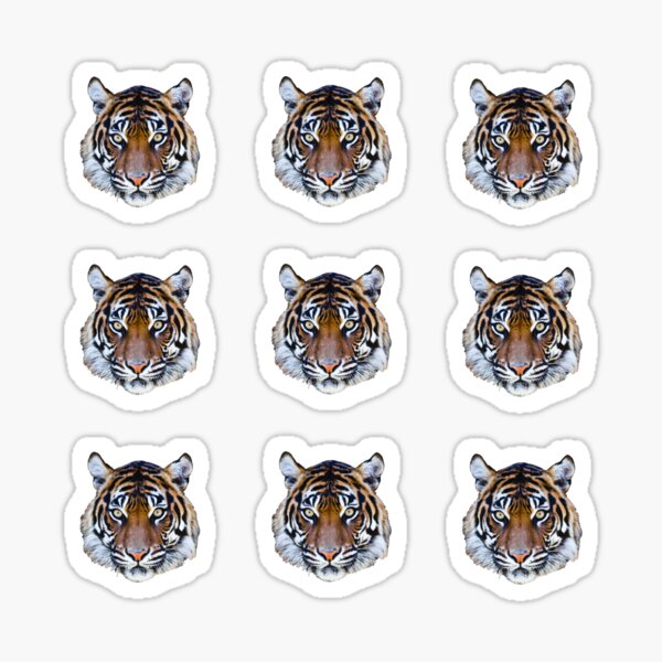 Face Stickers - Tiger - BODY ART STICKERSFACIAL DECALS