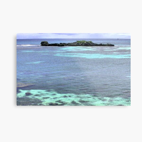 Island Metal Print