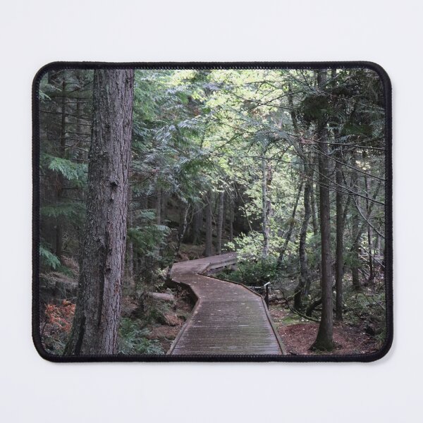 Item preview, The Cedar Trail to Light designed and sold by MADowdPhotos.