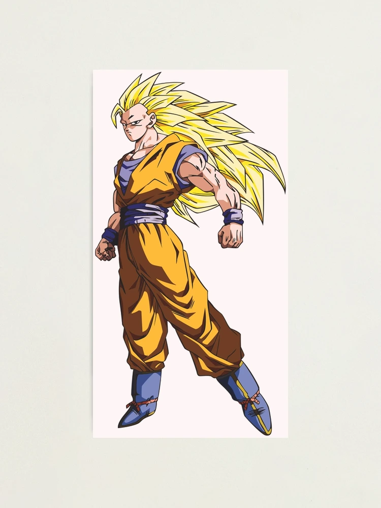 Dragon Ball Poster Buu Saga Gotenks Vegetto SSJ 12in x 18in Free Shipping