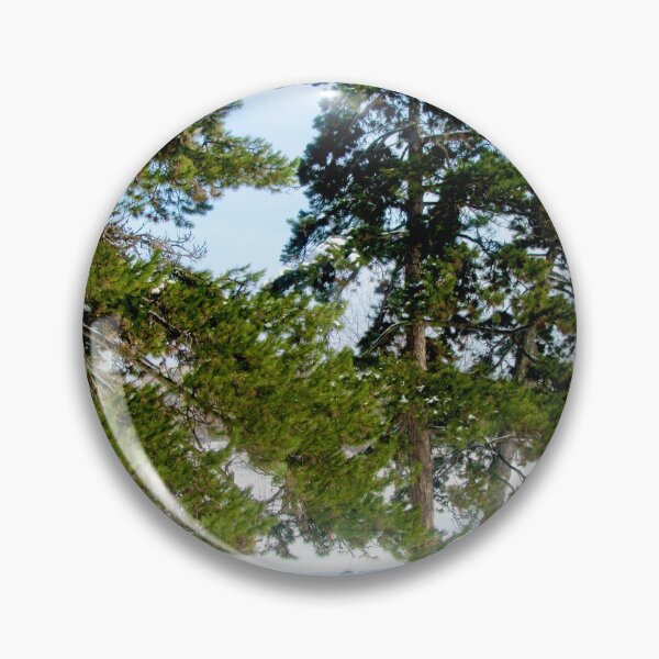 Item preview, Trees in Strathcona Park designed and sold by Shulie1.
