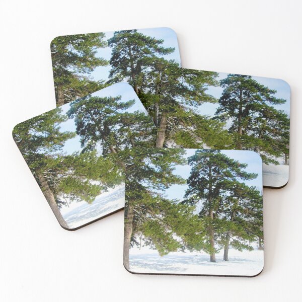 Item preview, Trees in Strathcona Park designed and sold by Shulie1.