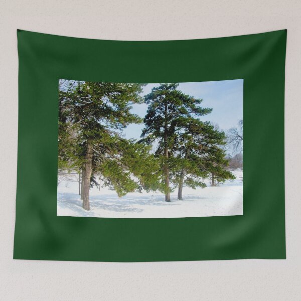 Item preview, Trees in Strathcona Park designed and sold by Shulie1.