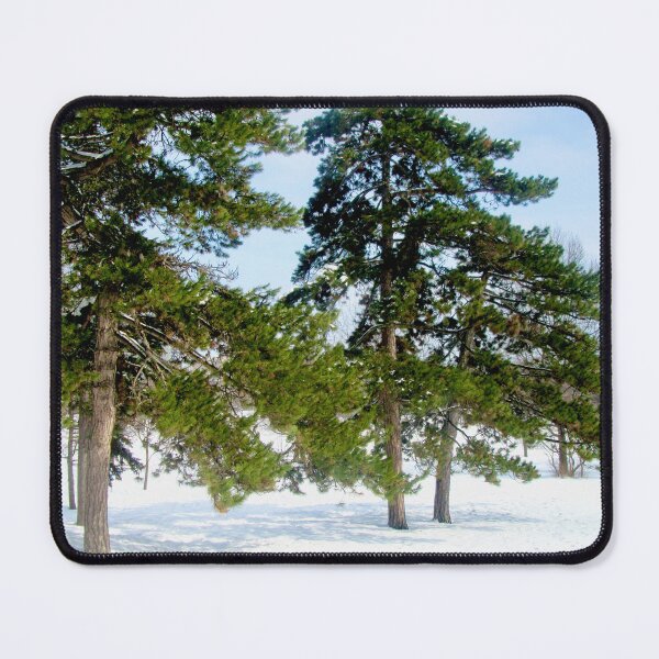 Item preview, Trees in Strathcona Park designed and sold by Shulie1.
