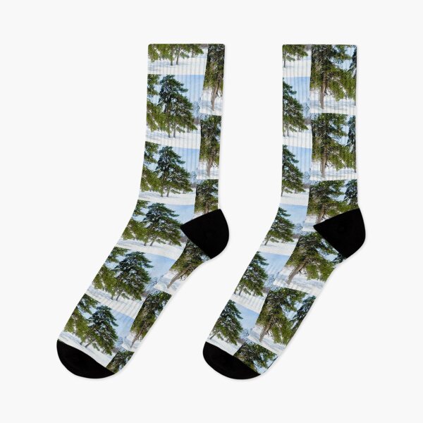 Item preview, Trees in Strathcona Park designed and sold by Shulie1.