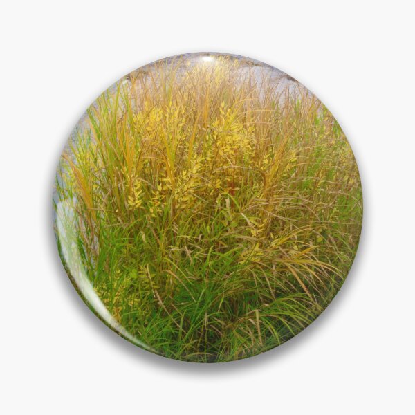 Item preview, Colourful grass  designed and sold by Shulie1.